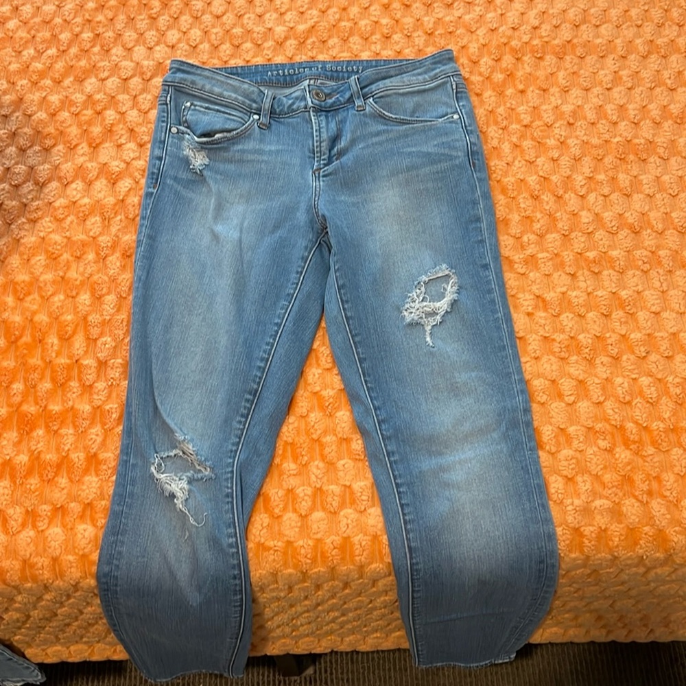Article of Society Skinny Jeans